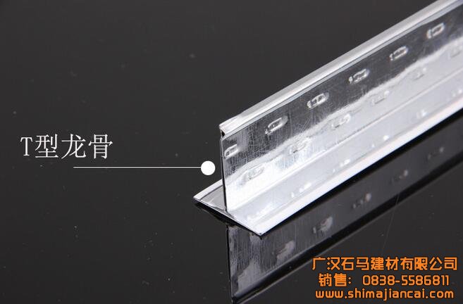 T型龍骨